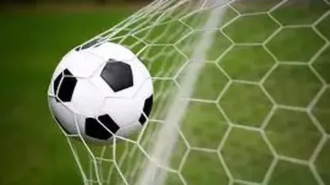 平博体育 产品 102551 r4y